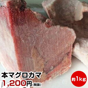 【母の日 父の日 ギフト バレンタインデー 初節句】★本マグロカマ 約1kg★脂のり抜群!破格の価格でご提供!まぐろ 鮪 かま 一番人気!まぐろの王様「本鮪」のカマ!BBQの主役にもなりえます お試し 保存食 お買得 まとめ買い お取り寄せ お取り寄せグルメ