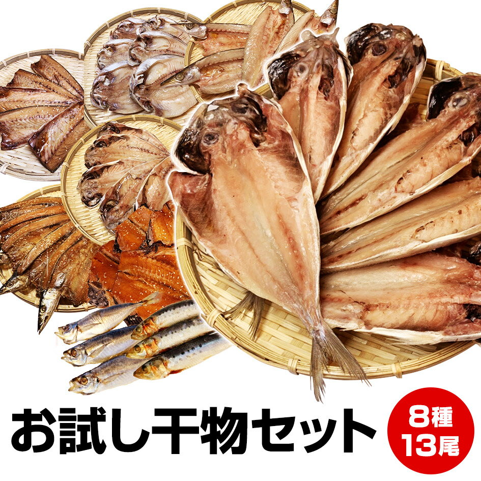 干物 5/23～5/27買い回り期間限定 最大P10倍 要エントリー【父の日 お中元 誕生日プレゼント ギフト 御中元】沼津直送★厳選8種13尾メガ盛りお試し干物セット★