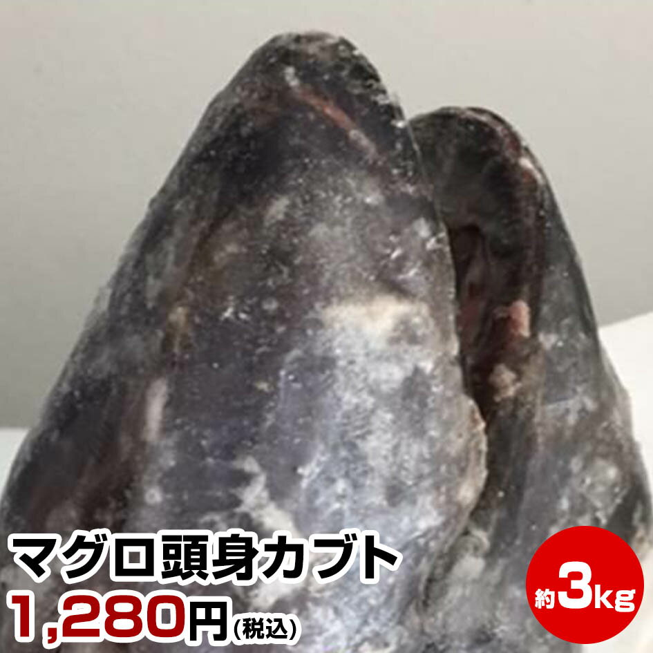 ≪母の日 父の日 ギフト バレンタインデー 初節句≫【期間限定 1個につき鯵干し3尾おまけ】★マグロ頭身カブト(約3kg)★鮪兜焼き・かぶと煮が人気です！ お試し 保存食 お買得 まとめ買い お取り寄せ お取り寄せグルメ格安通販　バレンタイン　人気　ランキング