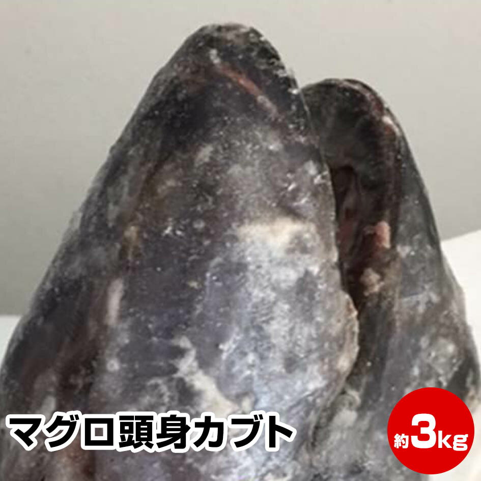 ≪母の日 父の日 ギフト バレンタインデー 初節句≫【期間限定 1個につき鯵干し3尾おまけ】★マグロ頭身カブト(約3kg)★鮪兜焼き・かぶと煮が人気です! お試し 保存食 お買得 まとめ買い お取り寄せ お取り寄せグルメ