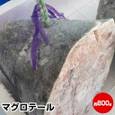 買回期間限定 ポイント+5倍 要エントリー【母の日 父の日 ギフト 誕生日プレゼント 内祝 お中元】★マグロテール(約800g)★引き締まった身に旨味がギュッと...