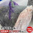 ★マグロテール(約500g×5個)★旨味がギュッとつまってます！税込・送料無料(一部地域を除く)鮪 まぐろ BBQ 干物セット 干物 お中元 御中元 暑中見舞い 残暑見舞い 高級 ギフト 敬老の日 贈り物 早割り 福袋 景品 内祝 手土産 ゴルフコンペ 賞品 1位 誕生日祝 結婚祝