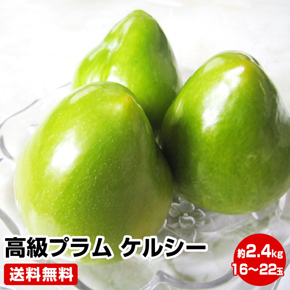 これは何だ？新感覚プラム！ ★山梨県産 幻の高級プラム ケルシー約2.4kg（12〜22玉）★発送は8月下旬ごろになります！経験のないジューシーな味！楽天 人気ナンバー1 に挑戦 桃 貴陽 お中元 暑中見舞い お取り寄せグルメ