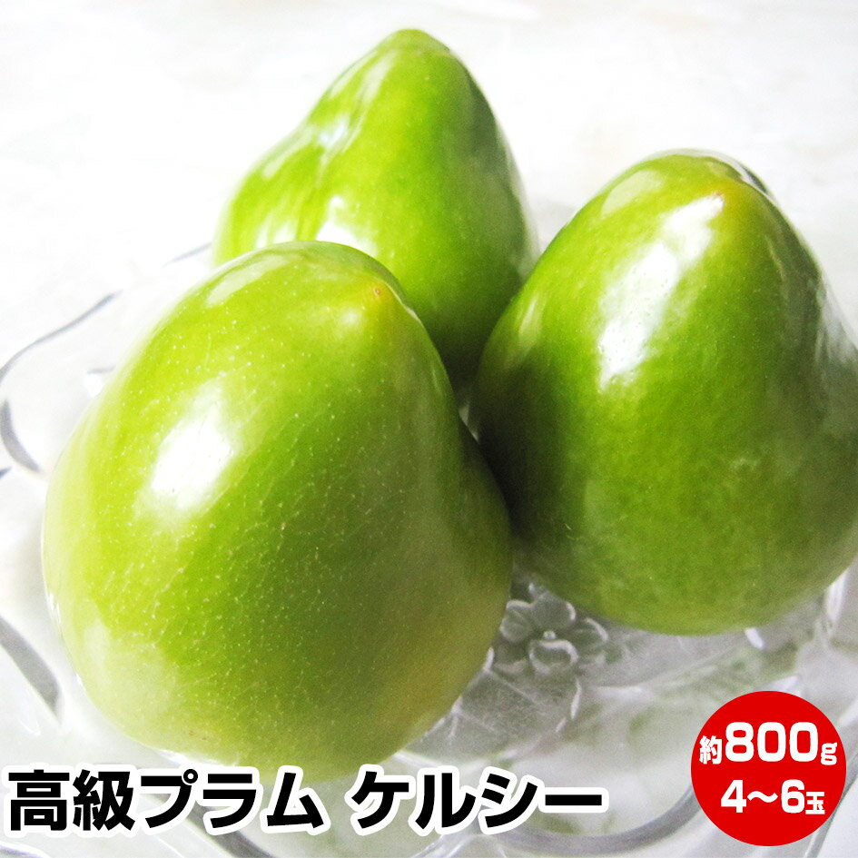 これは何だ？新感覚プラム！ ★山梨県産 幻の高級プラム ケルシー　約800g（4〜6玉）★発送は8月下旬ごろになります！…