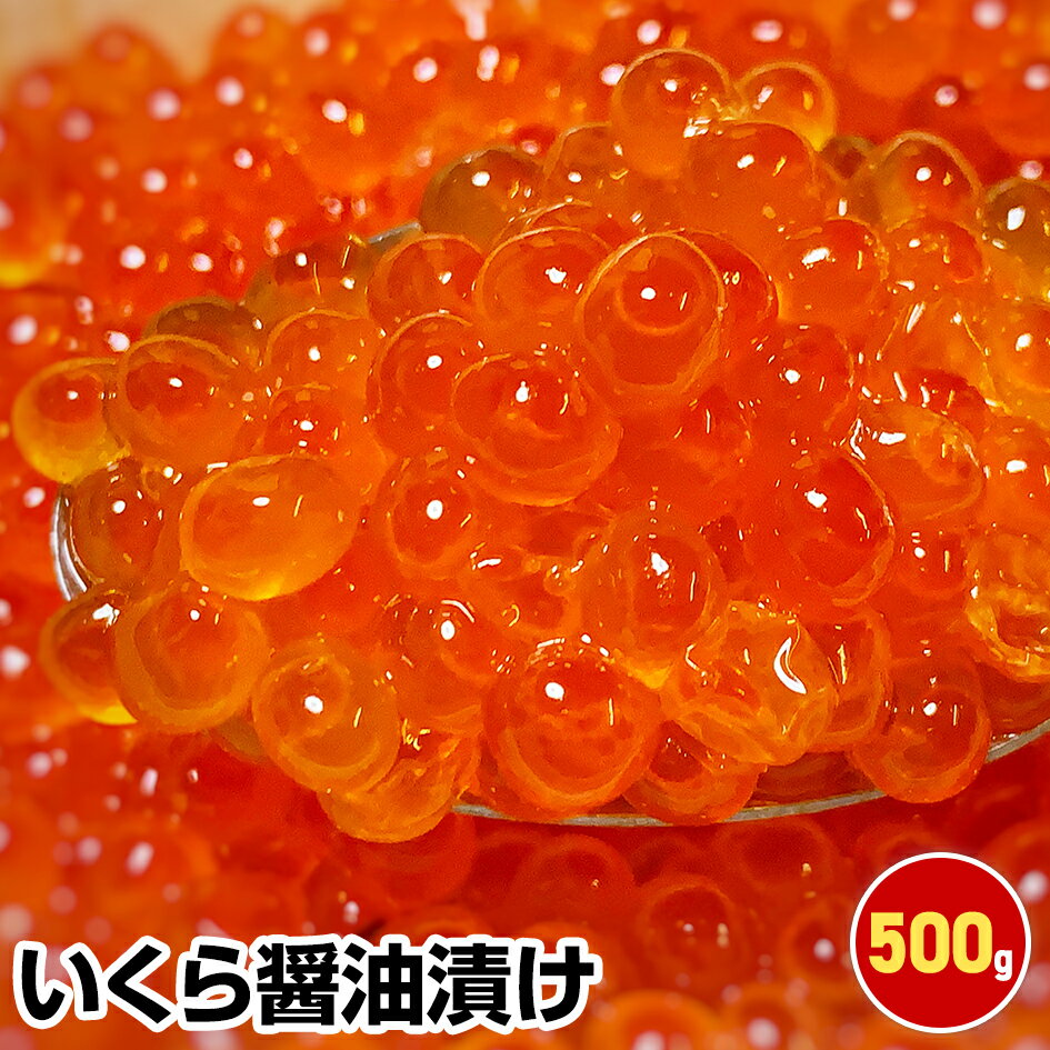 㤤ָ P10 ץȥ꡼  渵 ץ쥼 ե 渵ۡҤ500g  Ĵ̣ ʪå ʪ 1 50 60 70  ¸  ޤȤ㤤  󤻥