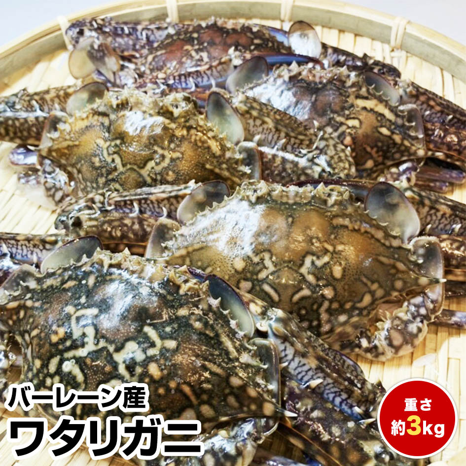 エントリーでポイント最大+14倍 買回期間限定【お歳暮 ギフト 誕生日プレゼント 内祝 御歳暮 御年賀 お年賀】★バーレーン産ワタリガニ3kg★ お試し 保存食...
