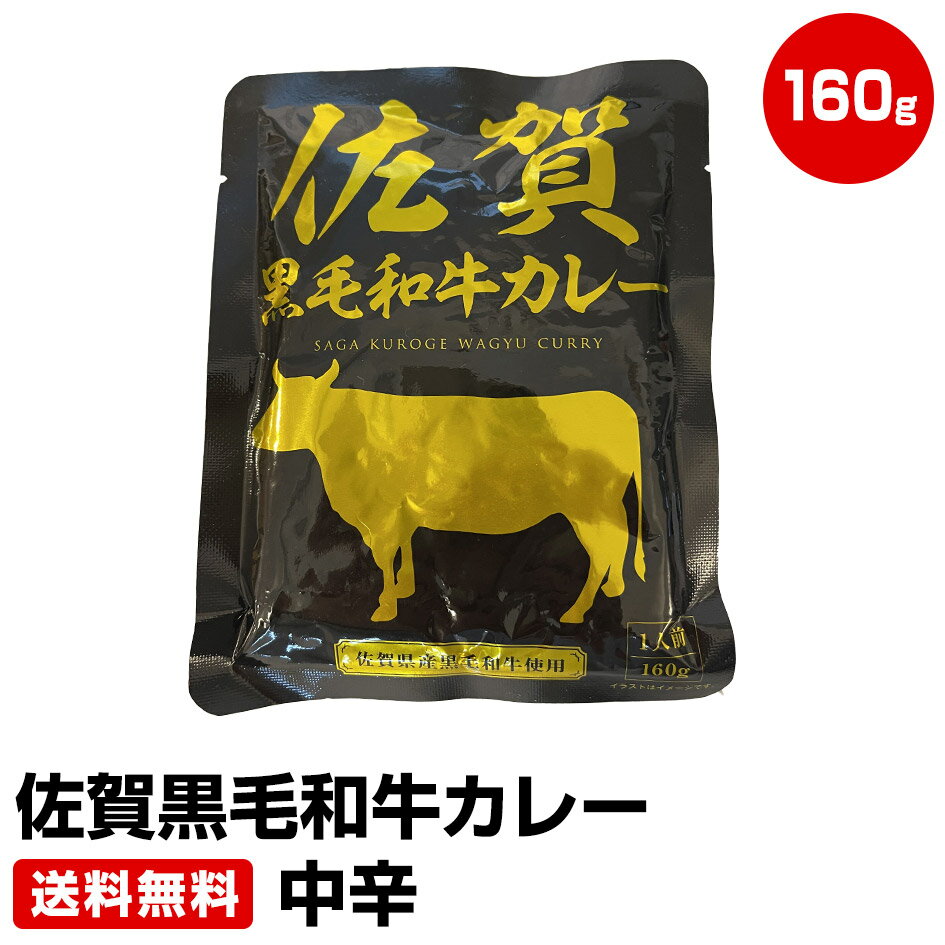 佐賀黒毛和牛カレー 160g×3袋 中辛　≪ギフト 贈り物に≫ 1位 50代 60代 70代 お試し 保存食 お買得 まとめ買い 干物セット 干物 お取り寄せ【お中元 御中元 暑中見舞い 残暑見舞い 敬老の日 誕生日プレゼント ギフト】