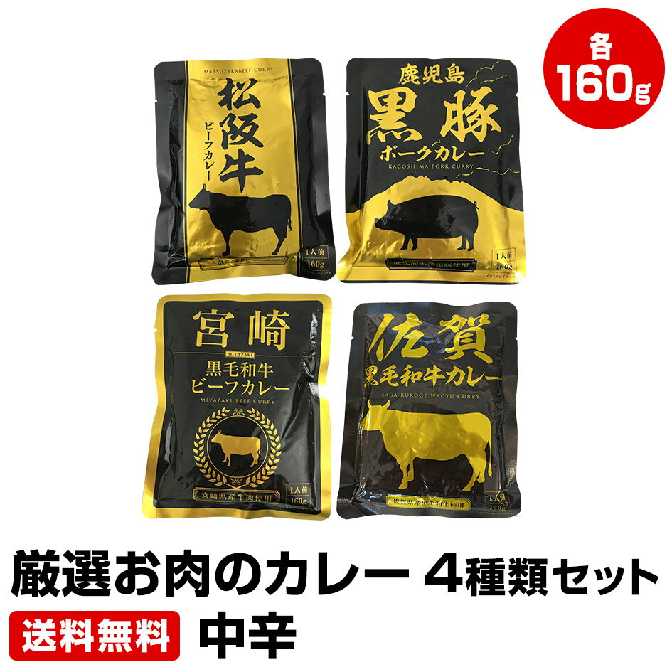 厳選お肉のカレー 4種類セット 中辛 4袋×160g　≪ギフト 贈り物に≫ 1位 50代 60代 70代 お試し 干物セット 干物 お取り寄せ