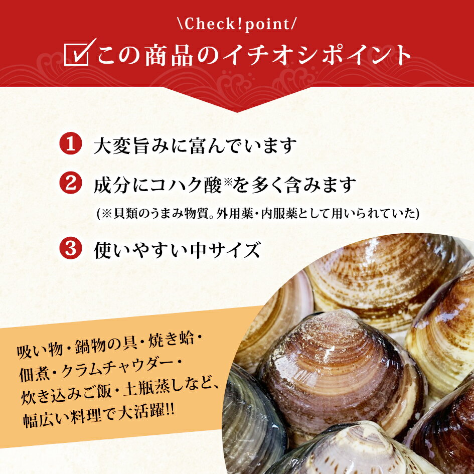 6月14日・15日は通常営業！【父の日 お中元 ギフト 誕生日プレゼント 内祝 暑中見舞 御中元】★国産 活はまぐり(小)1kg★送料無料 駿河湾産 鮮度抜群【ランキング入賞】(1/2〜1/7は発送・日時指定ともに承っておりませんのでご了承下さい)