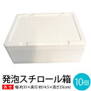 【送料無料】発泡スチロール10箱セット≪外寸 幅約33×奥行約14.5×高さ約25(cm)≫ 宅急便 宅配便　80サイズ 保冷 クーラーボックス BBQ 省..