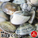 【母の日 父の日 ギフト 誕生日プレゼント 内祝 お中元】★国産 活はまぐり小2kg★鮮度抜群(1/2〜1/7の発送・日時指定ともに承っておりません)【ランキン...