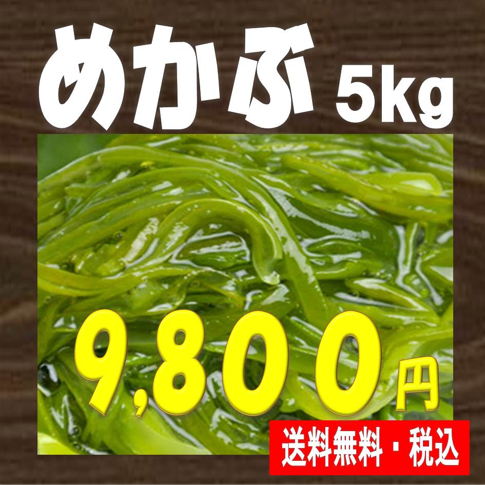 【母の日 父の日 ギフト】超優れた海藻★めかぶ★5kg 税込・送料無料（一部地域を除く）干物セット 干物 1位 50代 60代 70代 歓迎会 送別会 歓送迎会