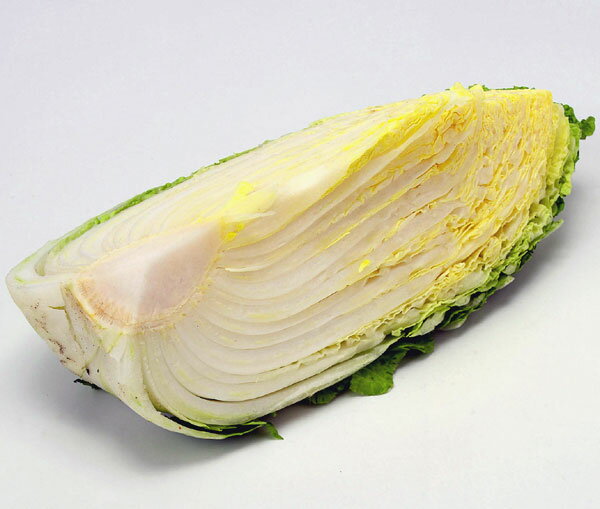 ��������ˡ�������Ҥ�����ǫ���ҹ��ߤޤ���������ҡʤ���ʪ��