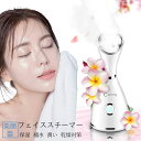 スチーマー フェイススチーマー 美顔器 イオン導入 スチーマー アロマ対応 顔 微粒子ミスト 保湿 補水 潤い 乾燥肌 加湿器 乾燥対策 毛穴 コンパクト フェ...
