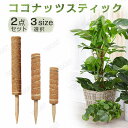 【2本入り】ココスティック 2点セット モンステラ支柱 観葉植物 支柱 園芸支柱 植物 ガーデニング用 花ささえ ココナッツ支柱 植物サポート つる性植物 トマ...