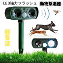 猫よけ 猫避け 猫除け ソーラー 庭に入って ふん や 尿 をして困る!お困り動物を超音波で優しく対策 野良猫 のら ノラ 野良 ねこ ネコ 鳥よけ 鳥 強力 ...