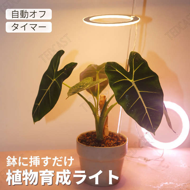 植物育成ライト LED 太陽光 おしゃれ タイマー 植物育成LED 観葉植物育成ライト 多肉植物育成 49LEDランプ 太陽光 室内栽培ライト 水耕栽培ランプ 光補足 日照不足解消 植物成長を促進 おしゃれ クリスマス