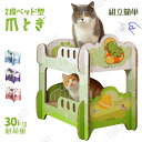 猫 爪とぎ 段ボール ハウス 麻 壁 つめとぎ 大きいサイズ 爪研ぎ ねこ ベッド ネコ 段ボール 子猫 シニア 運動不足 2段階タイプ 猫ちゃん 組み立て 設...