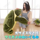 亀 ぬいぐるみ カメのぬいぐるみ 大きい亀 大きい ぬいぐるみ おもちゃ 子供 こども キッズ 3歳 4歳 5歳 6歳 7歳 8歳 幼児 小学生 男の子 女の子...