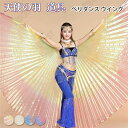 大人用 ベリーダンス つばさ イシスウィング 360度 小道具 舞台 アクセサリー 演出 飾り 蝶の羽 翼 エジプト ベリーダンス 演出アクセサリー 翼 ベリー...