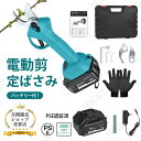 剪定ばさみ 電動【3.0Ahバッテリー付き!】 電動ハサミ 充電式 枝切り バサミ コードレス 4段階切断直径調整 切断直径35mm ケース付 園芸用はさみ