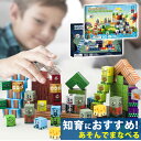 マグネットブロック 磁気 豪華セット 子供 組み立 DIY 積み木 知育玩具 男の子 女の子 室内遊び プラント vs. ゾンビ 暗黒の城 磁石ブロック おもちゃ 磁石ブロック おもちゃ ブロック 玩具 知育玩具 男の子 女の子 誕生日 プレゼント ギフト 入学祝い 卒業プレゼント