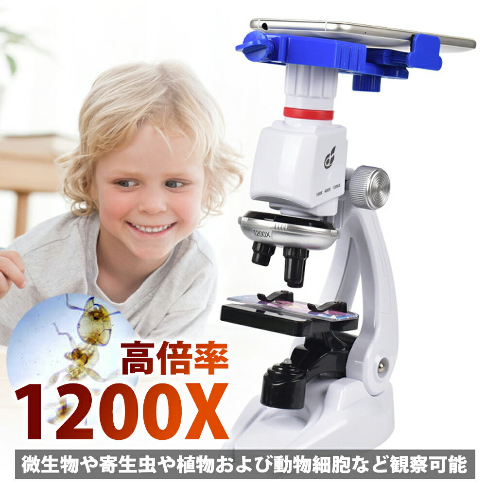 顕微鏡 初心者顕微鏡 100〜1200倍 子供向け 初心者 スマホ 撮影 学生 子供 初心者 生物標本 実体 花粉 宝石 学校 自由研究用 高倍率 プレゼント ...