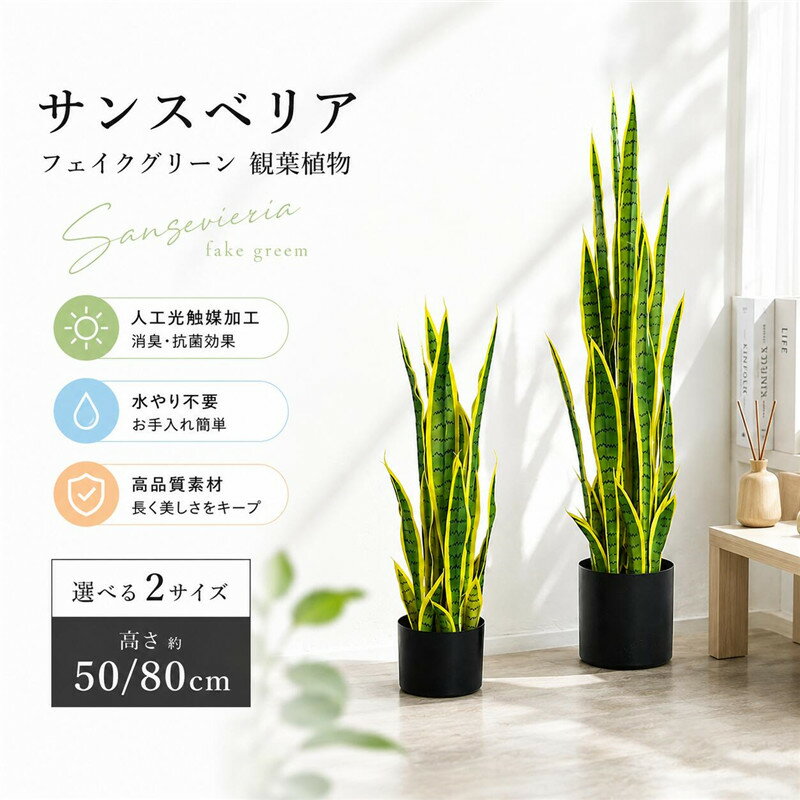 樂天商城 - サンスベリア フェイクグリーン 観葉植物 造花 人工光触媒 消臭抗菌 鉢 水やり不要 ミニサイズ ハイドロ 虫が来ない 2サイズ 50cm 80cm ゴールド グリーン 高級フェイクグリーン 本物のような質感 転倒防止 お祝い 新築 開店 オフィス