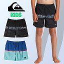 140 のみ ネコポス発送!送料無料 サーフパンツ キッズ クイックシルバー QUIKSILVER ジュニア 男の子 子供 BOY KIDS 水着 ロゴ ボード...