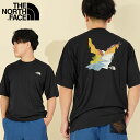 䂤pPbgI m[XtFCX TVc p  Y fB[X  THE NORTH FACE EH[^[ ObY eB[ S/S Water Grids Tee bV TVc NT12332 2023tĐVF