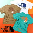 ゆうパケット発送！送料無料 ノースフェイス 半袖Tシャツ キッズ 子供 THE NORTH FACE S/S Shiretoko Toko Tee ショートスリーブ シレトコ トコ ティー NTJ32430ST 2024春夏新作