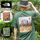 ネコポス発送!送料無料 ノースフェイス Tシャツ 植物 写真 メンズ レディース 半袖 吸汗速乾 THE NORTH FACE ピクセル プラント コットン ティー S/S FD Pixel Plant Cotton Tee 綿100% バックプリント nt32549 2025春夏新作