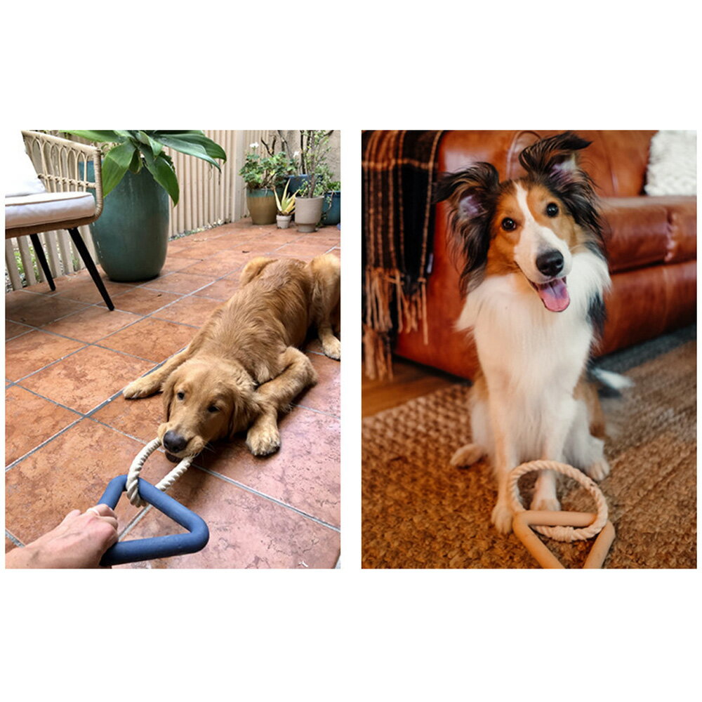 ������̵���۸��Ѥ������ �ڥå��� �İ��� ��������� ����ߤ������ �ڥå� ���᤭ ��ư��­ ���ȥ쥹��� �ΰ餪����� �ѵ��� �澮ưʪŬ�� ���ѳ��प����� ���� ���� ���� �ȥ졼�˥� ͷ��