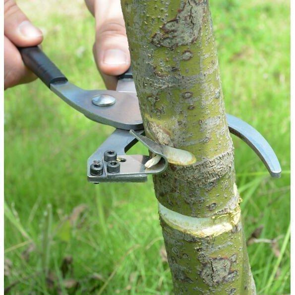 園芸用ナイフ 環状剥皮 取木鋏 剥皮鋏 環状剥皮ナイフ プライヤー式 替刃付き 幹の樹皮 剥ぎ取り 果樹..