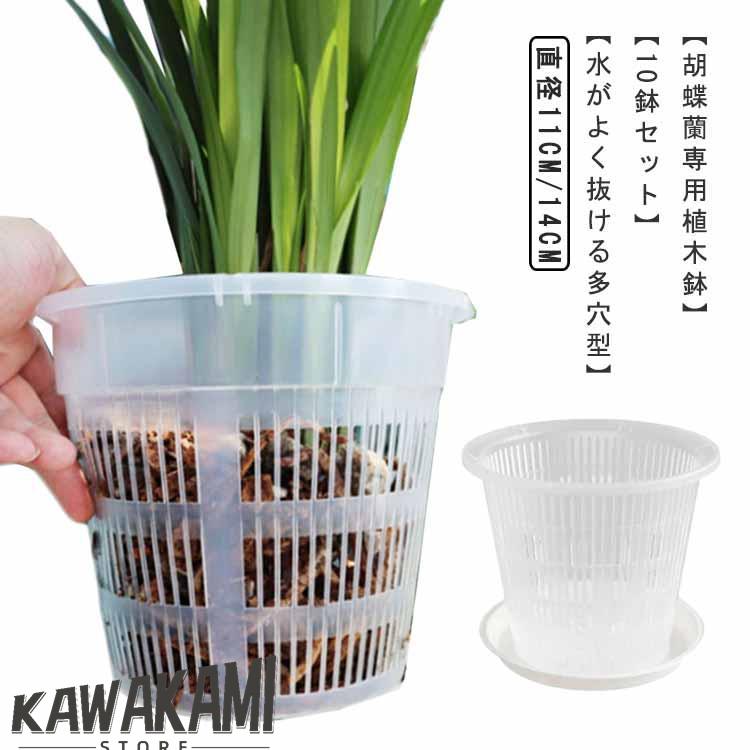 屋外 穴付き 胡蝶蘭 胡蝶蘭 オーキッドポット 10鉢セット 屋内 植木鉢 植木鉢 プラスチック 蘭の鉢 胡..