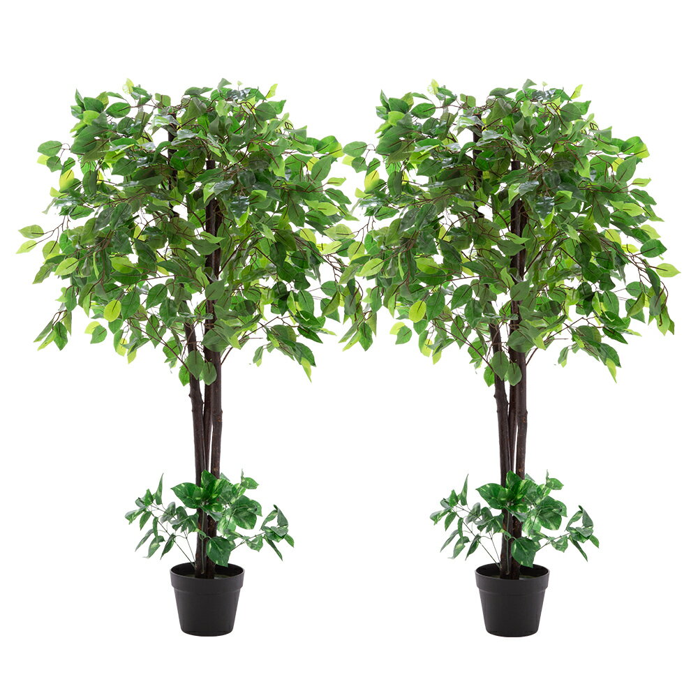 光触媒 人工観葉植物 ベンジャミン2