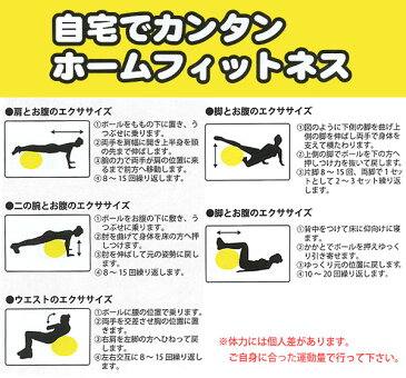 エムネット【M-net】ストレッチボール 55cm MN120 バランスボール フィットネス Gボール ヨガ エクササイズ トレーニング 体幹 インナーマッスル 美容 健康 ダイエット 筋力アップ 【メンズ】【レディース】