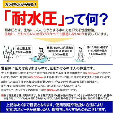 スキーウェア ディフェンダー DIFENDER レディース WS-1406 スキースーツ 上下セット 2010 レディーススキー ジャケット パンツ セットアップ ウィンタースポーツ スキー服