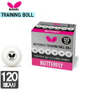 練習球 バタフライ BUTTERFLY 95840 トレーニングボール 40+ 10ダース入り 2207 卓球 120球 セット ピンポン球 ボール 硬式卓球 ...