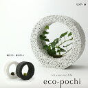 【eco-pochi WITH GREEN リング M 】観...