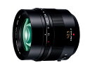 yVi/izPanasonic LEICA DG NOCTICRON 42.5mm/F1.2 ASPH./POWER O.I.S. H-NS043