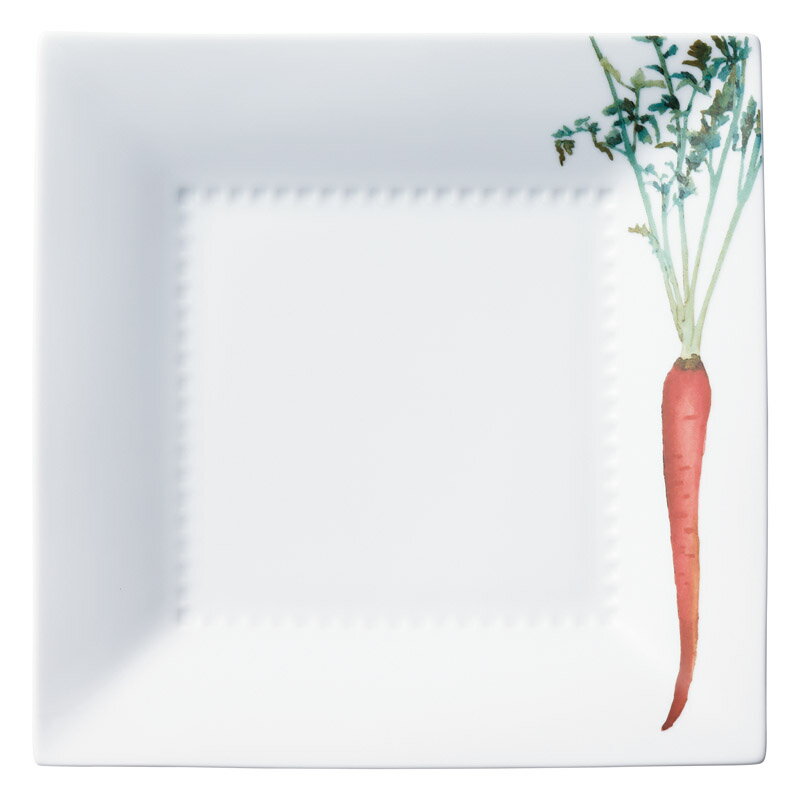 【新品/取寄品/代引不可】【特選商品】スクエアプレート（1P） 金時人参 1620-3L/T94542