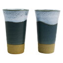 【新品/取寄品】【特選商品】白波一味ビールカップペアセット mK-6