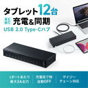 【新品/取寄品/代引不可】USB2.0 Type-C 12ポートハブ USB-2THCS12N