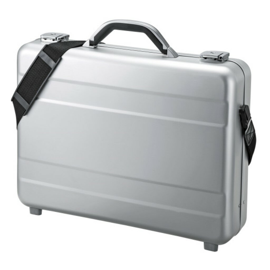 【新品/取寄品/代引不可】PCアルミケース BAG-AL4N2