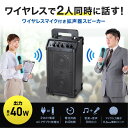 【新品/取寄品/代引不可】拡声器 ワイヤレスマイク2本 スピーカーセット 最大出力40W 有線マイク対応 外部音声入力搭載 専用バッグ付属 電池/AC両対応 MM-SPAMP21