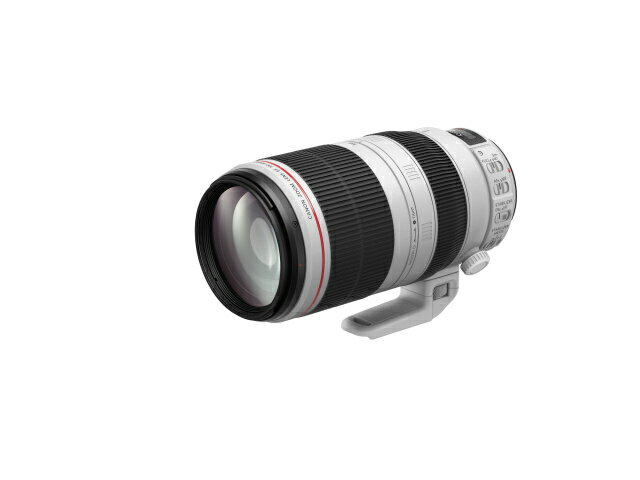Canon EF100-400mm F4.5-5.6L IS II USM 超望遠ズームレンズ キヤノン