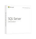 Microsoft SQL Server Standard Edition 2019 Japanese 4 Licenses DVD Core License 228-11547