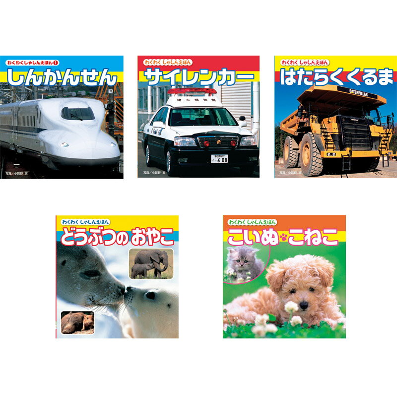 【新品/取寄品/代引不可】【特選商品】知育えほんB(5冊セット) COS-25-02B