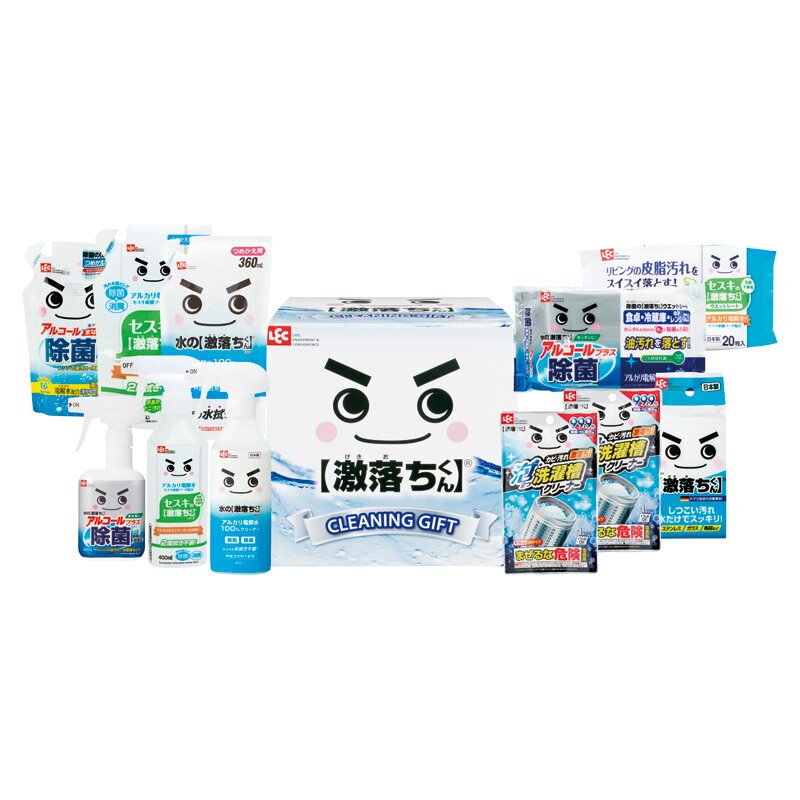 【新品/取寄品/代引不可】【特選商品】レック 激落ちくんギフト LGG-500S